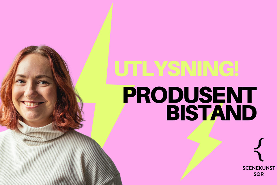 Produsentbistand