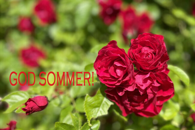 GOD SOMMER