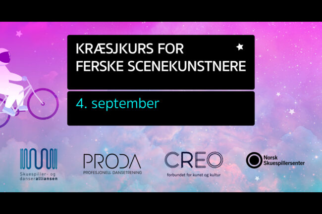 Kræsjkurs