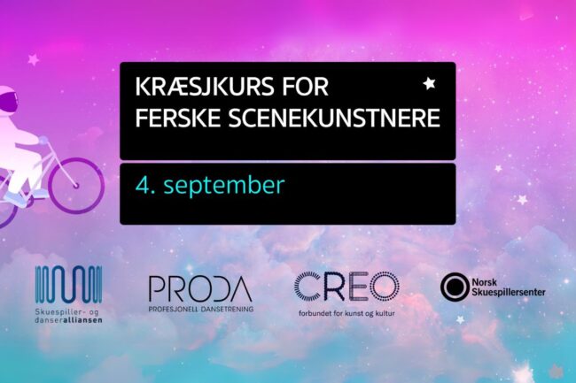 Kræsjkurs