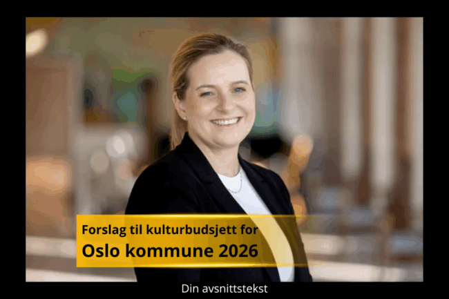 Kulturbudsjett